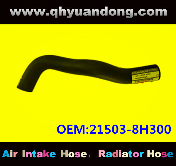 RADIATOR HOSE 21503-8H300