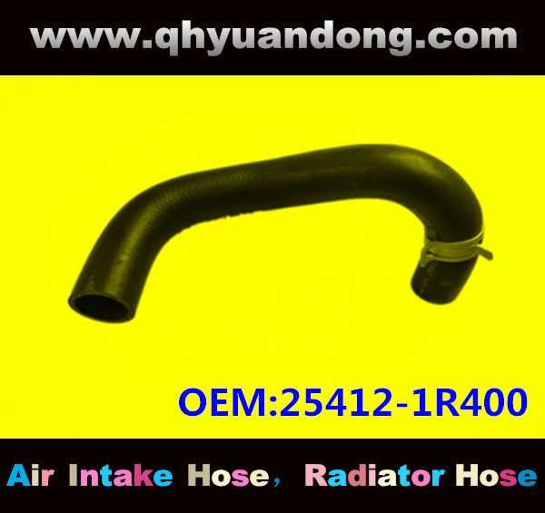 RADIATOR HOSE 25412-1R400