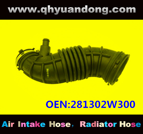 AIR INTAKE HOSE GG OEM:281302W300