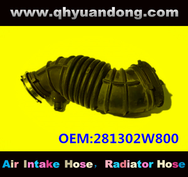 AIR INTAKE HOSE GG OEM:281302W800