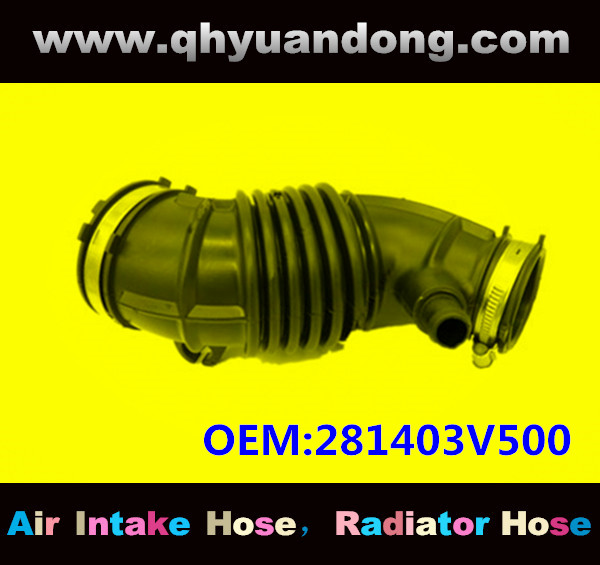 AIR INTAKE HOSE GG OEM:281403V500