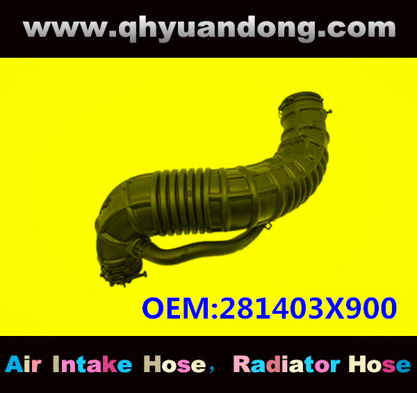 AIR INTAKE HOSE GG OEM:281403X900