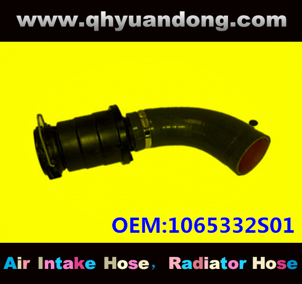 AIR INTAKE HOSE GG OEM:1065332S01