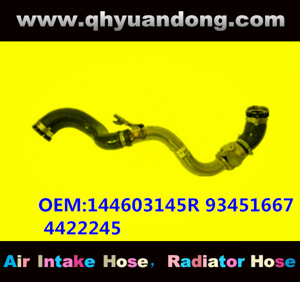 RADIATOR HOSE GG OEM:144603145R 1446000Q2B    93451667 4422245