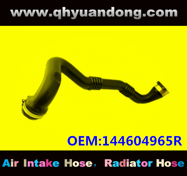 AIR INTAKE HOSE GG OEM:144604965R