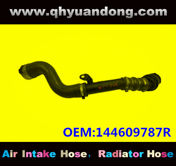 RADIATOR HOSE GG OEM:144609787R