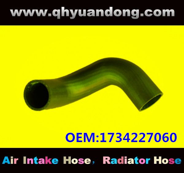 RADIATOR HOSE GG OEM:1734227060