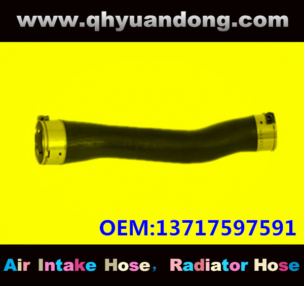 RADIATOR HOSE GG OEM: 13717597591