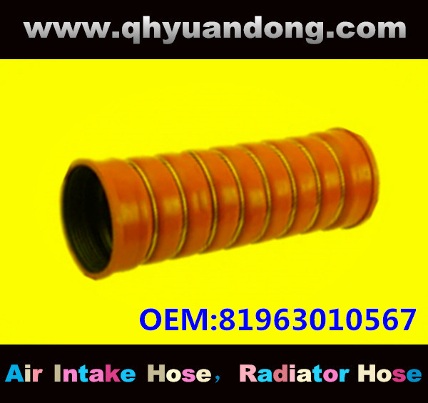 TRUCK SILICONE HOSE GG OEM:81963010567