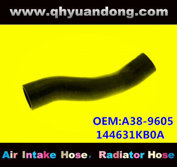 RADIATOR HOSE GG OEM:A38-9605 144631KB0A