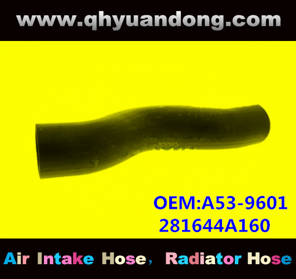 RADIATOR HOSE GG OEM:A53-9601 281644A160