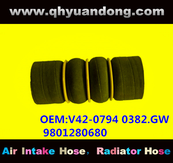 TRUCK SILICONE HOSE GG OEM:V42-0794 0382.GW 9801280680