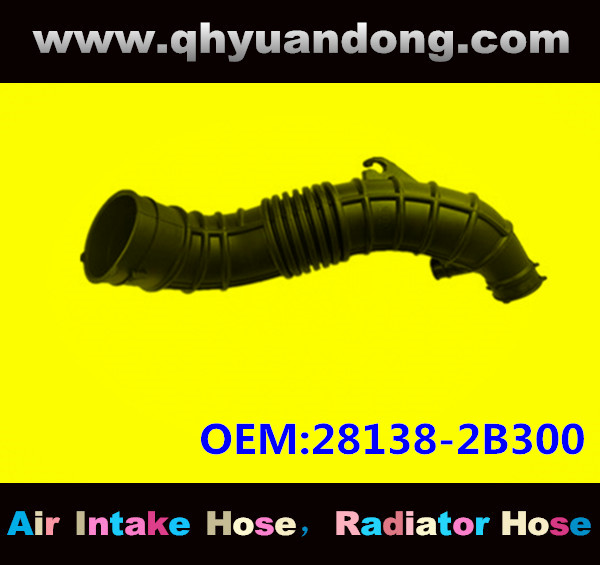 AIR INTAKE HOSE 28138-2B300