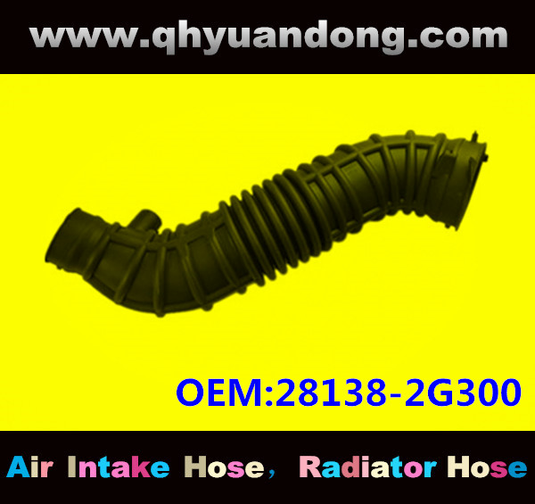 AIR INTAKE HOSE 28138-2G300