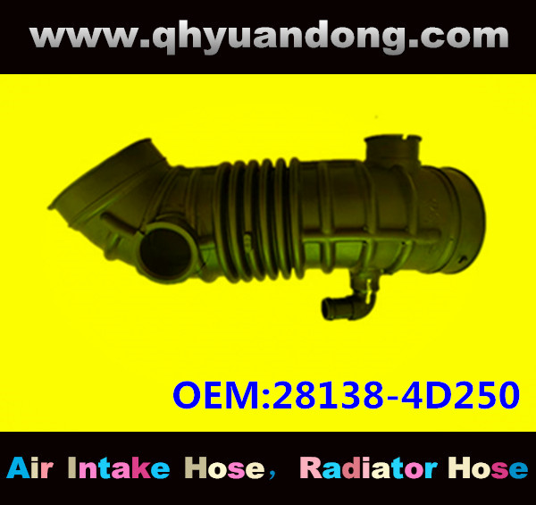 AIR INTAKE HOSE 28138-4D250