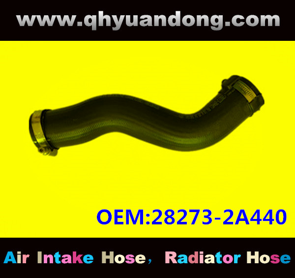 RADIATOR HOSE 28273-2A440