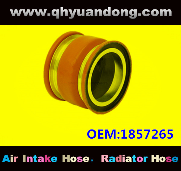 Truck SILICONE HOSE 1857265