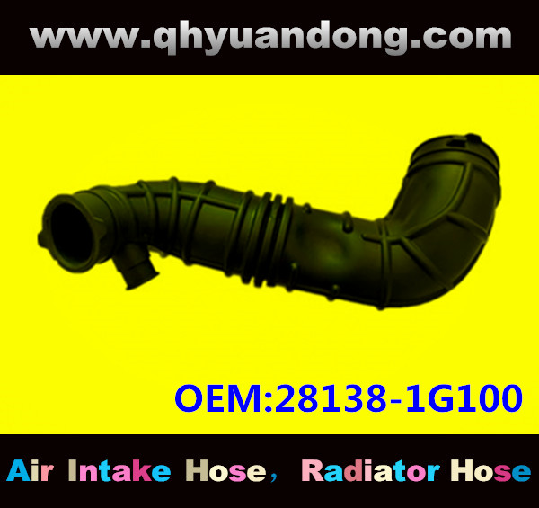 AIR INTAKE HOSE 28138-1G100