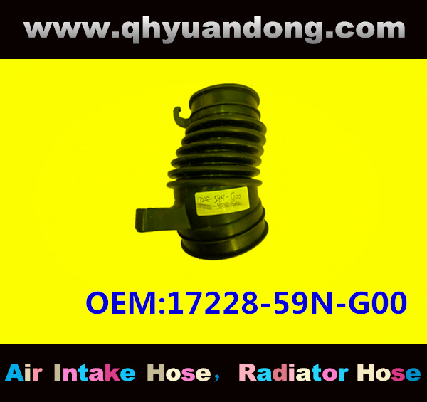 AIR INTAKE HOSE 17228-59N-G00