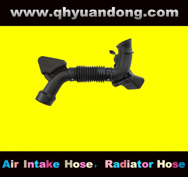 AIR INTAKE HOSE 17881-BZ070