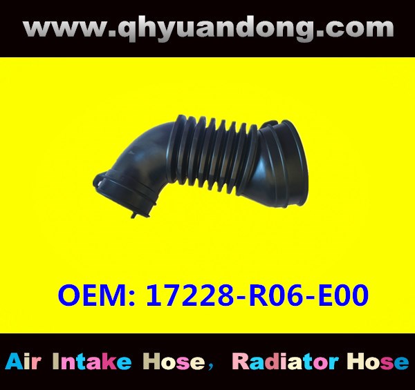 AIR INTAKE HOSE 17228-R06-E00