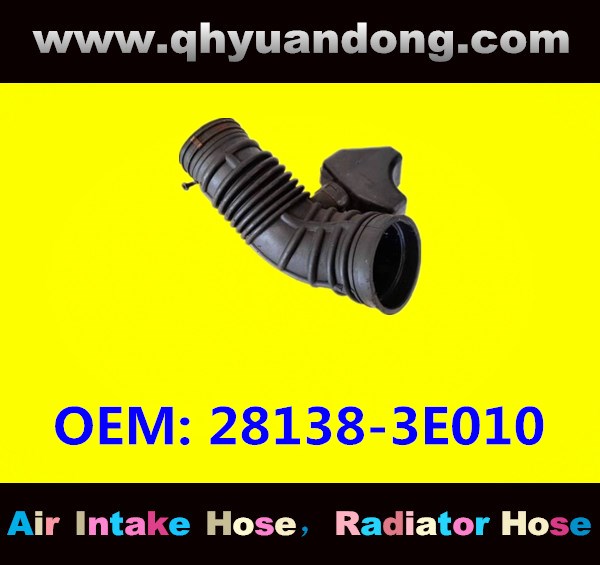 AIE INTAKE HOSE 28138-3E010