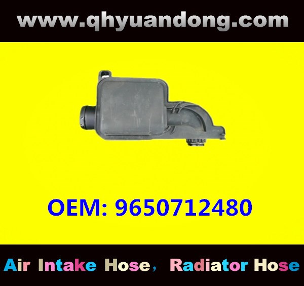 AIR INTAKE HOSE 9650712480