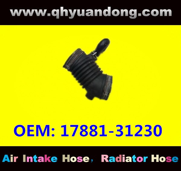 AIR INTAKE HOSE 17881-31230