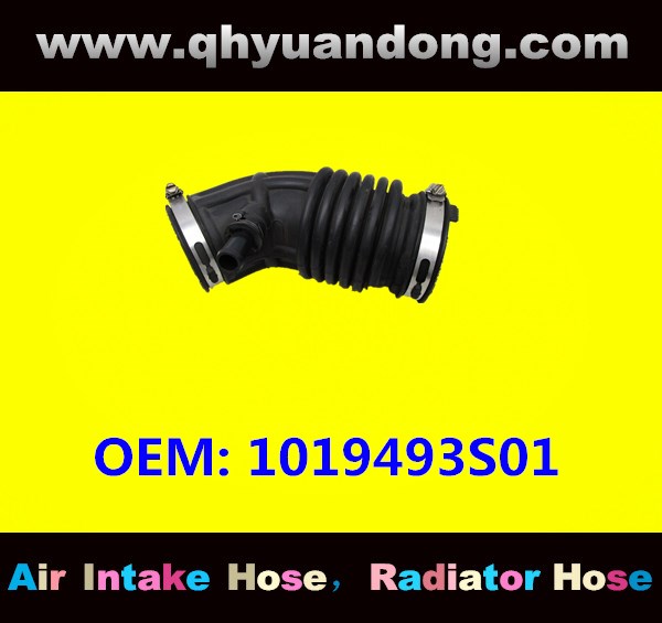 AIR INTAKE HOSE 1019493S01