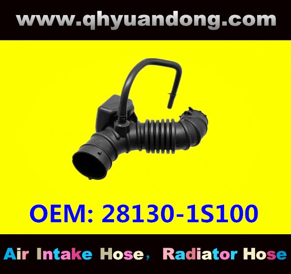 AIR INTAKE HOSE 28130-1S100