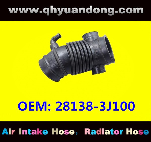 AIR INTAKE HOSE 28138-3J100