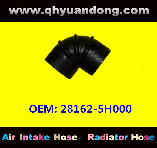 AIR INTAKE HOSE  28162-5H000