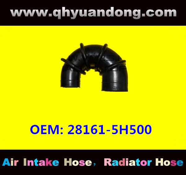 AIR INTAKE HOSE 28161-5H500