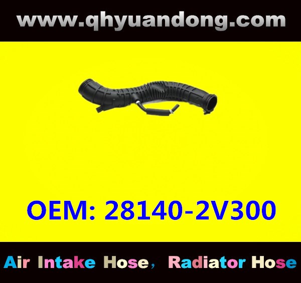 AIR INTAKE HOSE  28140-2V300