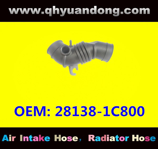 AIR INTAKE HOSE 28138-1C800