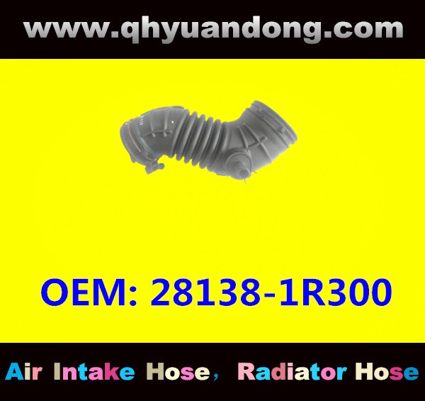 AIR INTAKE HOSE 28138-1R300