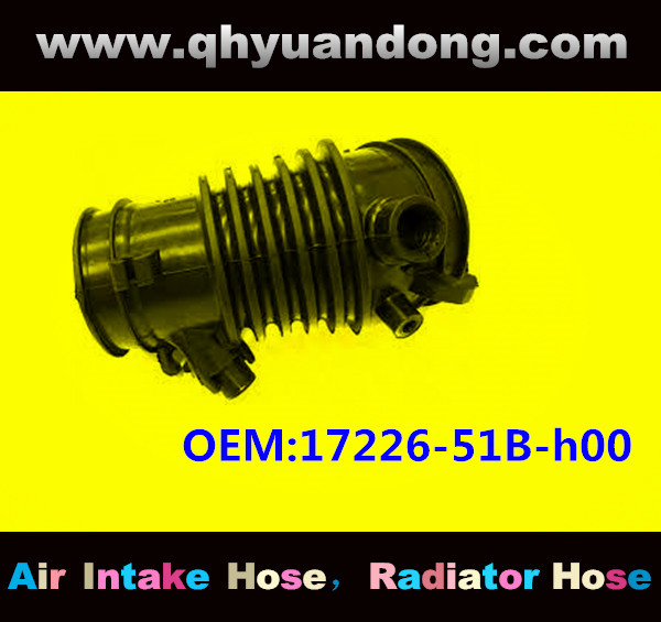 AIR HOSE OEM:17228-5LA-A00