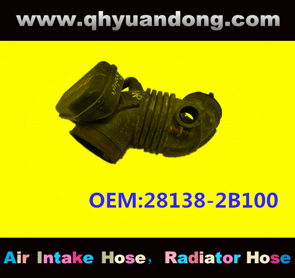 AIR HOSE OEM:28138-2B100