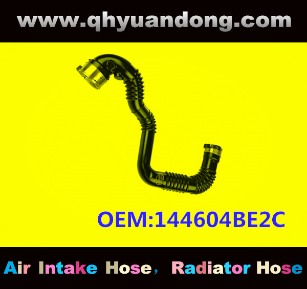 AIR HOSE OEM:144604BE2C