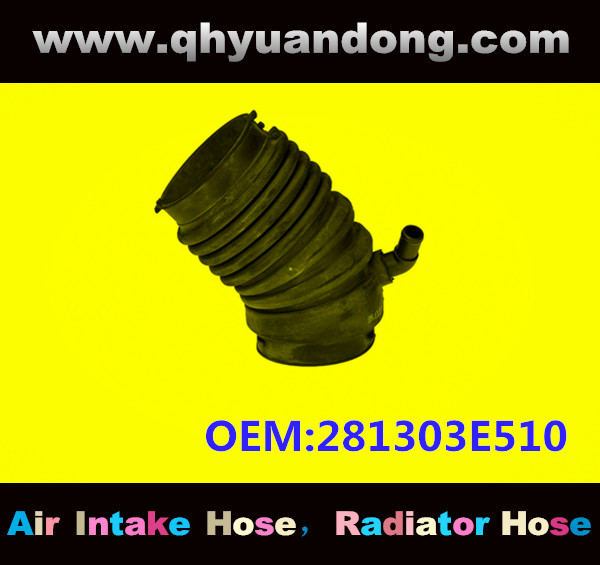 AIR HOSE OEM:281303E510