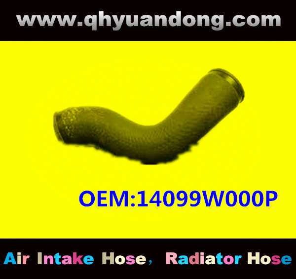 AIR HOSE OEM:14099W000P