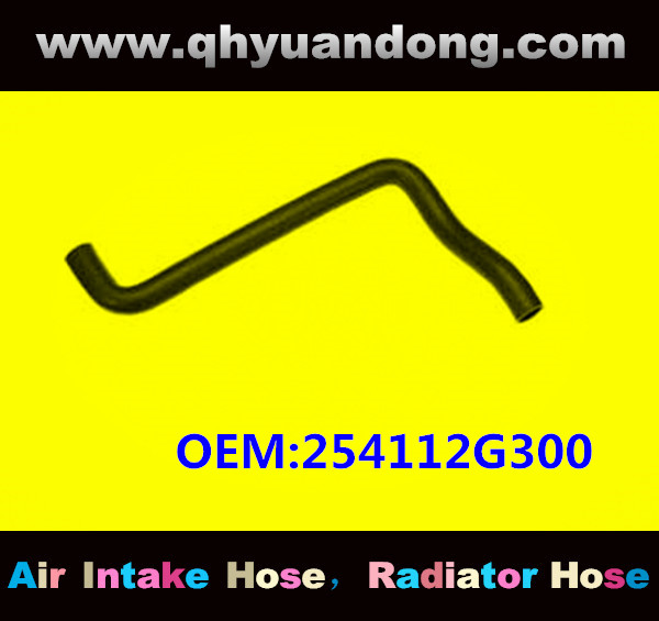 RADIATOR HOSE OEM:254112G300 