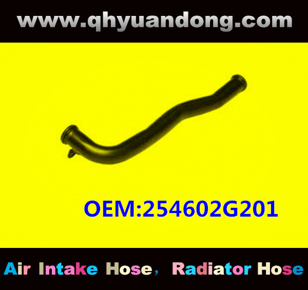 RADIATOR HOSE OEM:254602G201