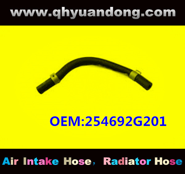 RADIATOR HOSE OEM:254692G201