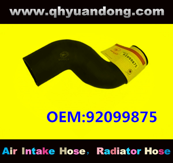 RADIATOR HOSE OEM:92099875