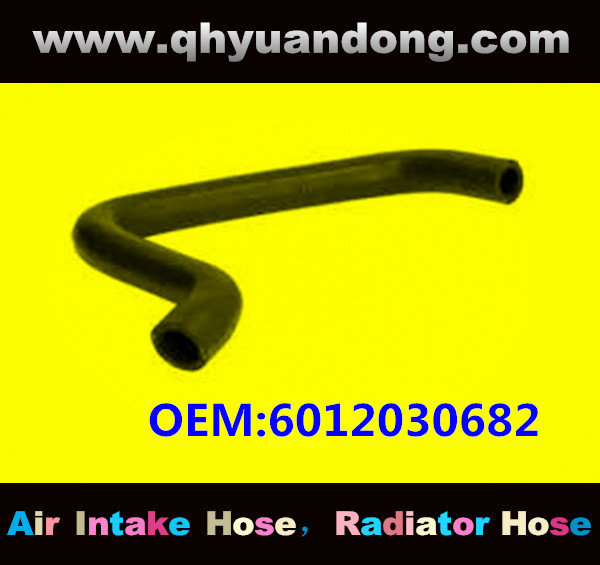 RADIATOR HOSE OEM:6012030682 