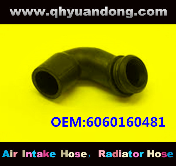 RADIATOR HOSE OEM:6060160481 