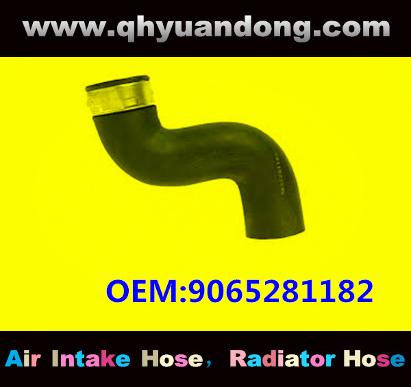 RADIATOR HOSE OEM:9065281182 