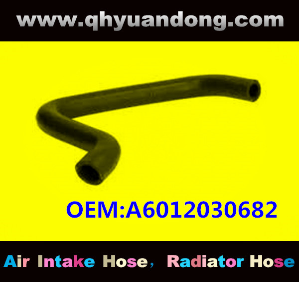 RADIATOR HOSE OEM:A6012030682 