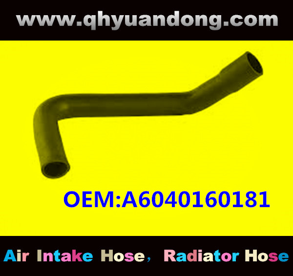 RADIATOR HOSE OEM:A6040160181 